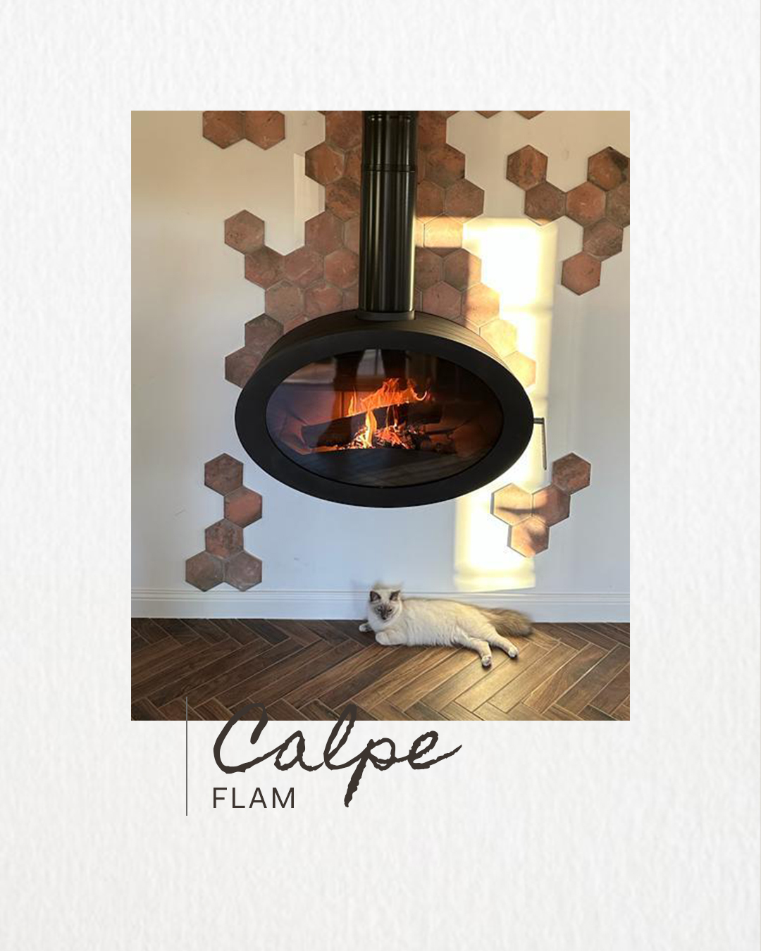 Chimenea colgante de leña CALPE