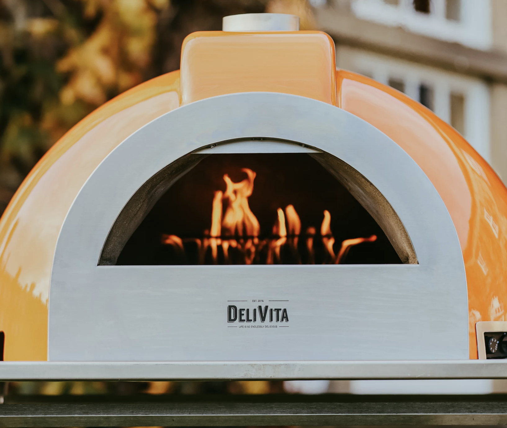 Horno de leña y gas DELIVITA PRO 6