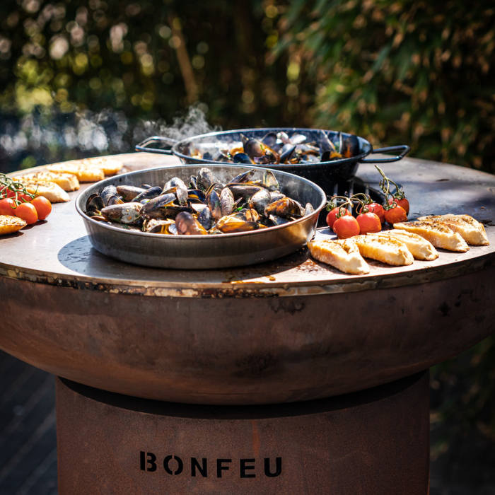 Barbacoa de leña BONBIZA 16