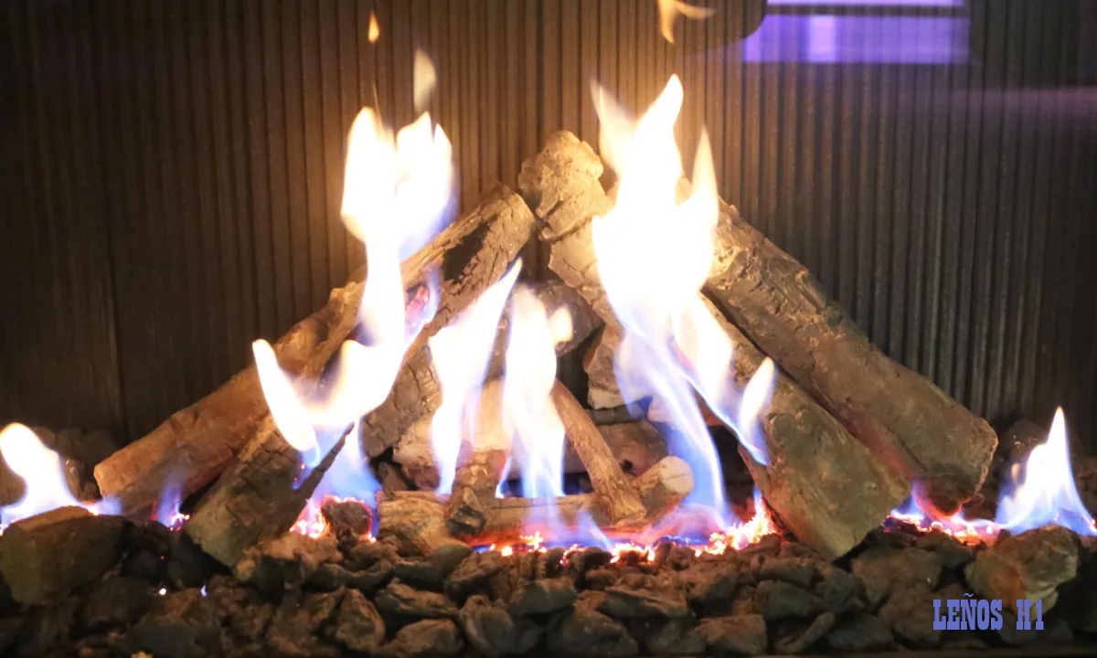 Chimenea de gas TRUE VISION 550V (Frontal) 4