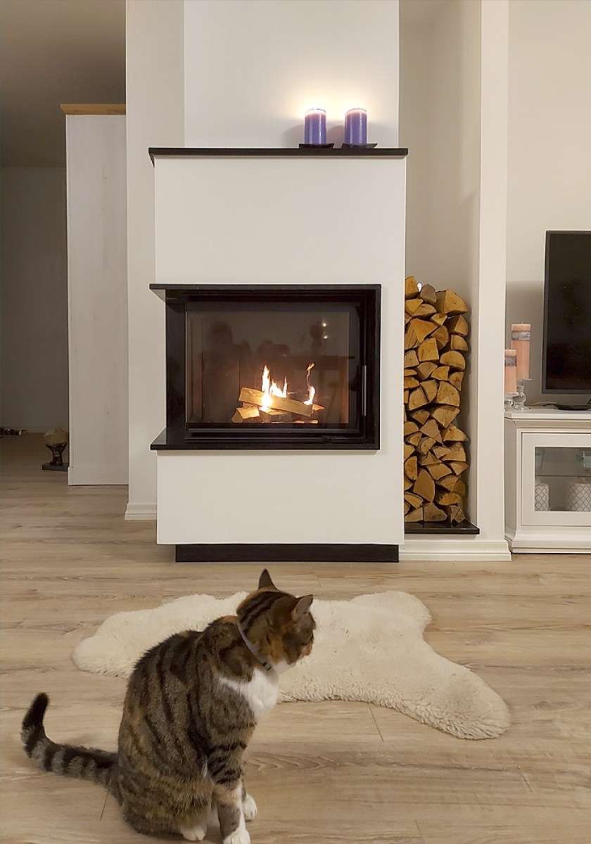 Chimenea de leña HEAT E2 81/40 (esquinero) 2