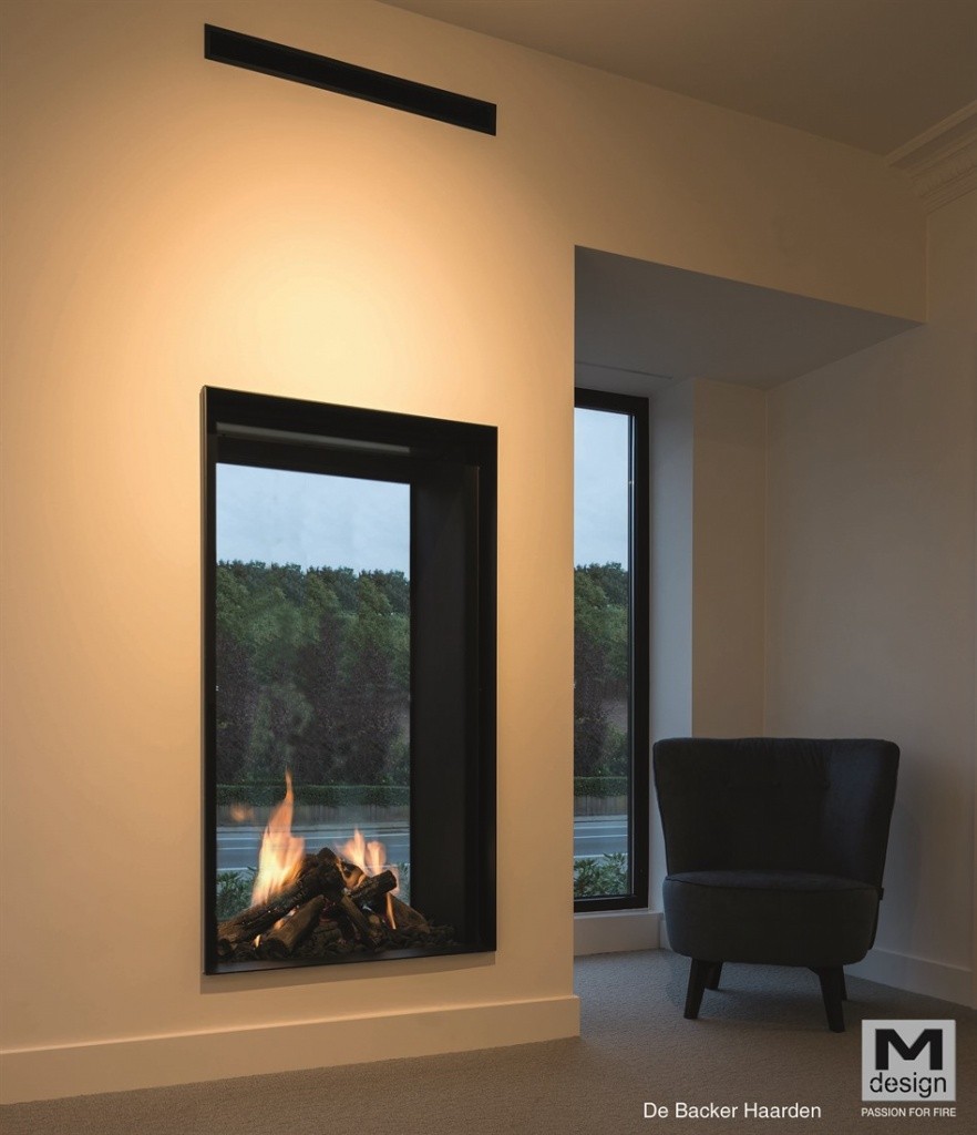 Chimenea de gas TRUE VISION 850 DVL (Doble cara)